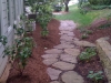 Side yard path with black currants and herbs
