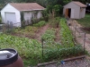 Intensely productive backyard garden, irrigated with rain barrels