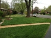 Lawn conversion to organic management