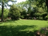 This organic lawn looks way better than its conventional neighbors!