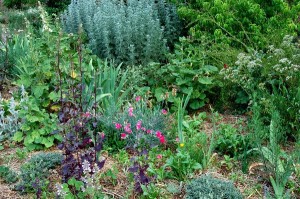 Gardening in Polycultures