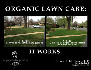 organic lawn care