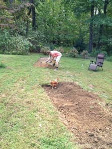 Rainwater-Harvesting Earthworks - Swale Digging