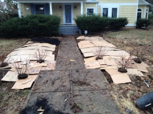 Mulch: Materials and Strategies