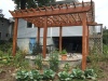 Stone Patio and Pergola