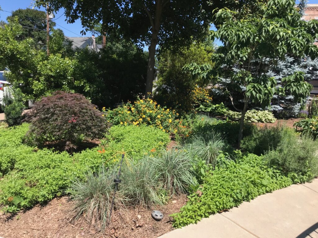 Ecological Garden Design: This is a picture of a multistory garden with low growing perennials, shrubs, under-story trees and a young canopy tree